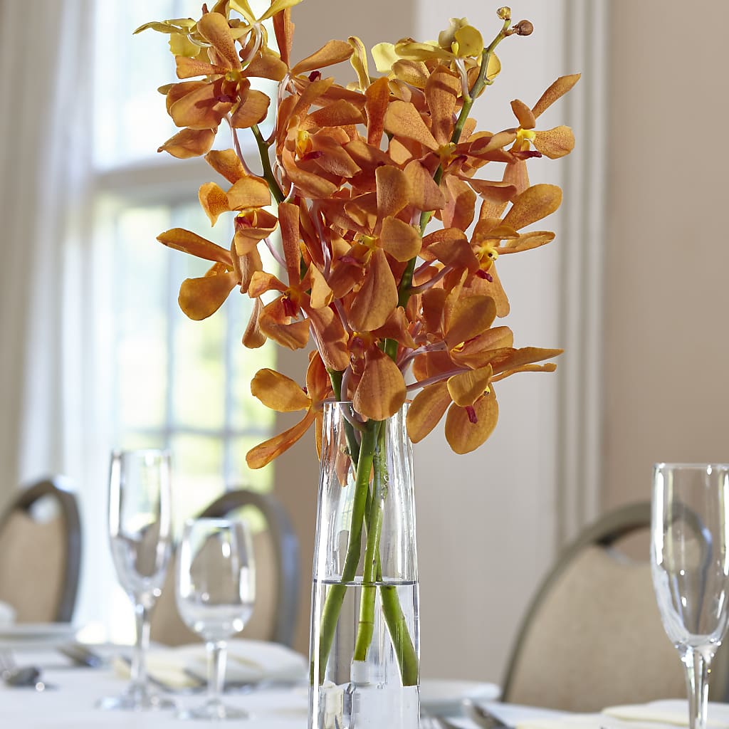 Orange Mokara Bud Vase – Loose Leaf Florist, Austin TX