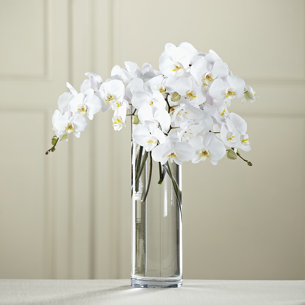 White Phalaenopsis Bouquet – Loose Leaf Florist, Austin TX