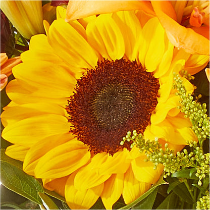 Seasons Change Bouquet –  Loose Leaf Florist, Austin TX