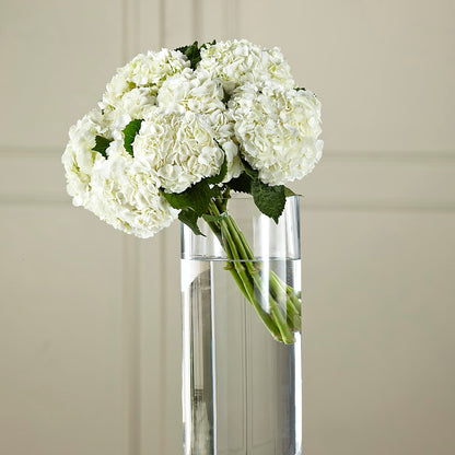 White Hydrangea Hand-Tied Bouquet –  Loose Leaf Florist, Austin TX